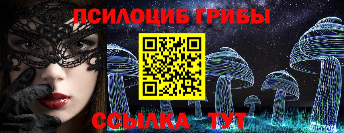 даркнет сайт  Вход с VPN  Балтийск  Псилоцибиновые грибы прущие грибы 