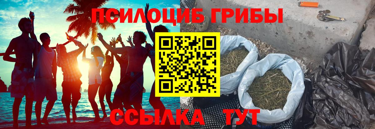 Галлюциногенные грибы прущие грибы Балтийск